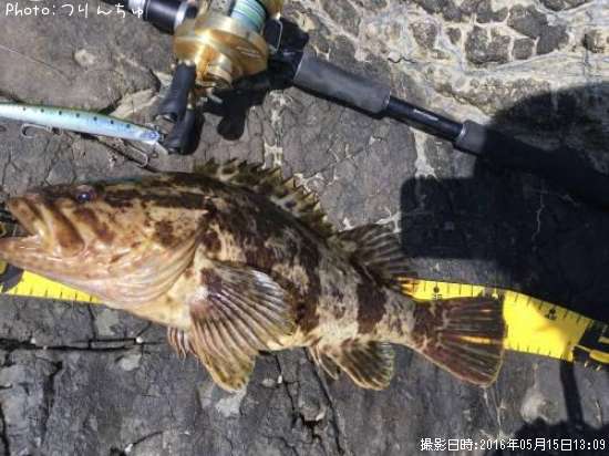 �����Υ���Х�