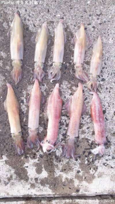 ���󥵥�����