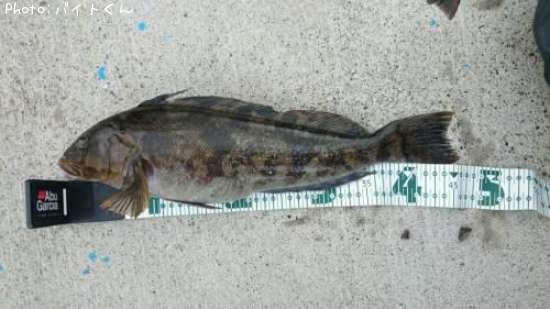 �����ʥ�