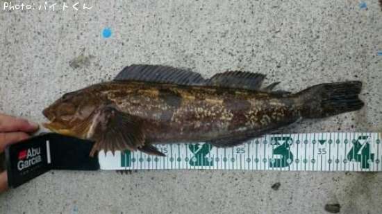 �����ʥ�