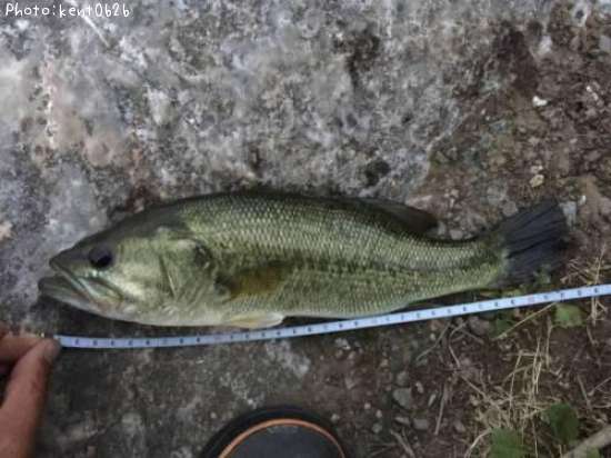 �֥�å��Х�