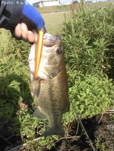 �֥�å��Х�