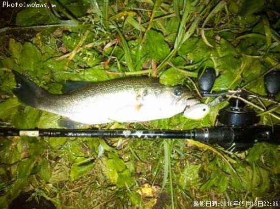 �֥�å��Х�