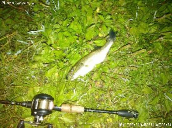 �֥�å��Х�