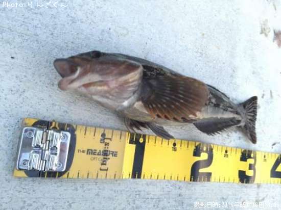 �����ʥ�