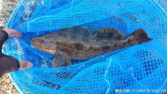 �����ʥ�