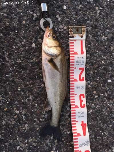 �����Х�