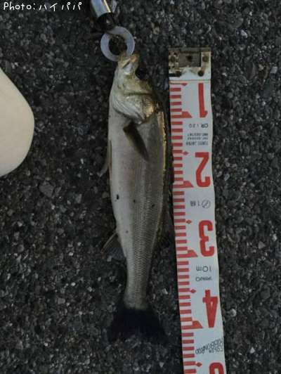 �����Х�