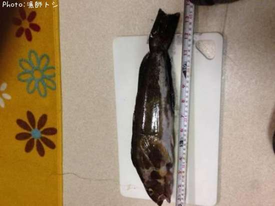 �����ʥ�