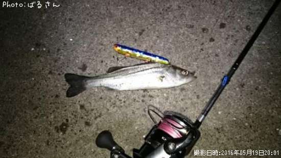 �����Х�