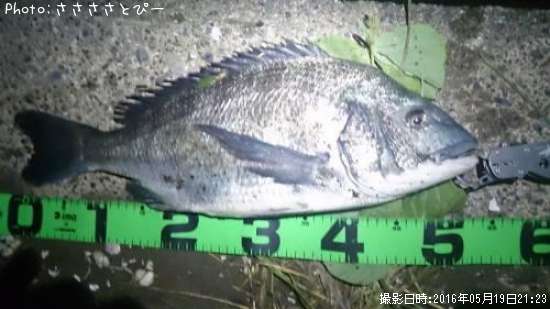 ���������������ա�