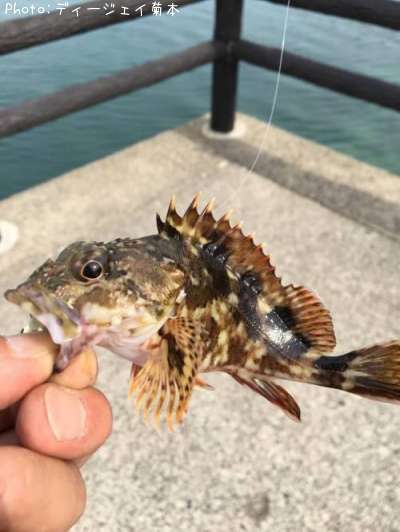 �����Υ���Х�