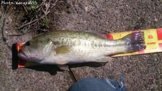 �֥�å��Х�