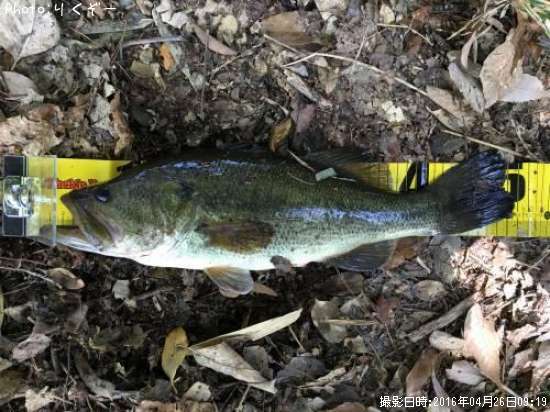 �֥�å��Х�