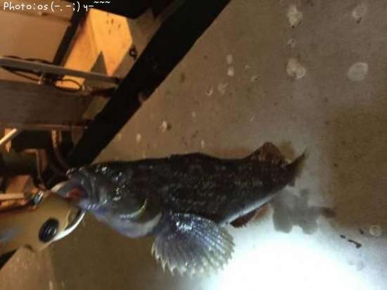 �����ʥ�