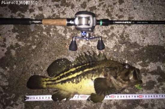 ���ޥ���