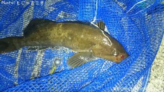 �����ʥ�