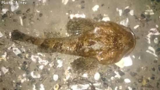 ����������