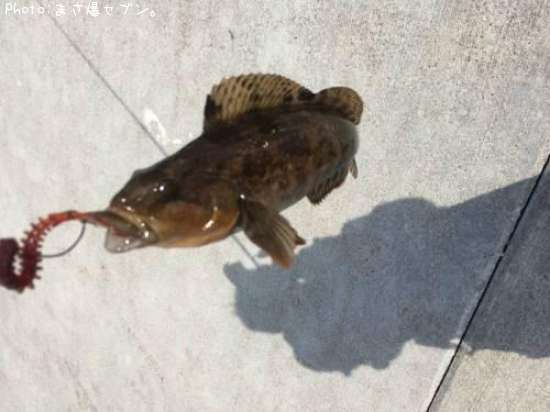 �����ʥ�