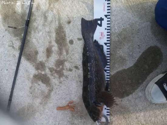 �����ʥ�