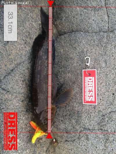 �����ʥ�