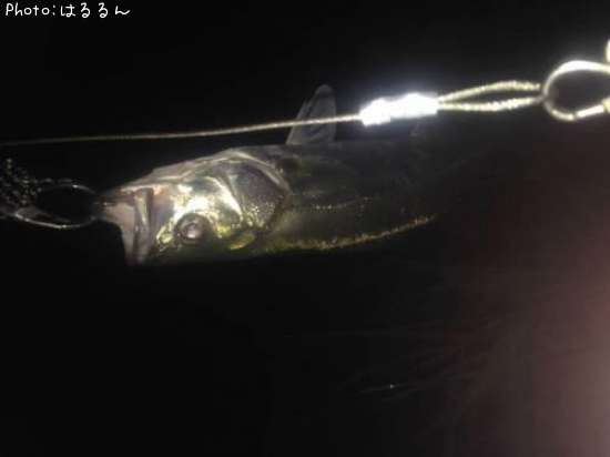 �����Х�