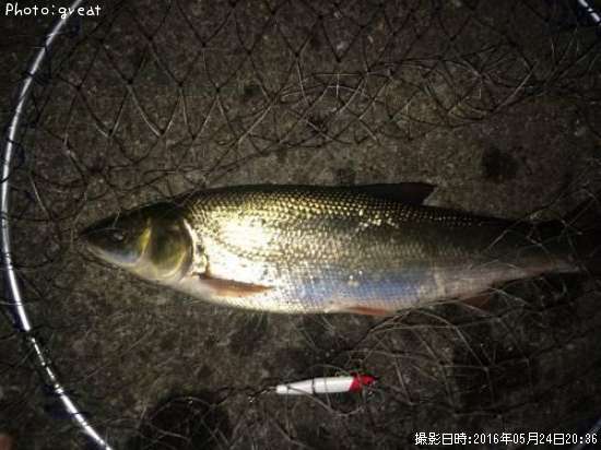 �ޥ륿������