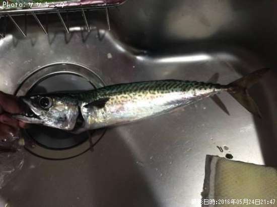 ���ޥ���