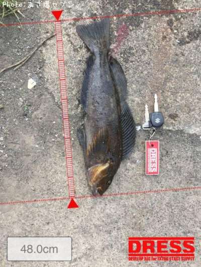 �����ʥ�