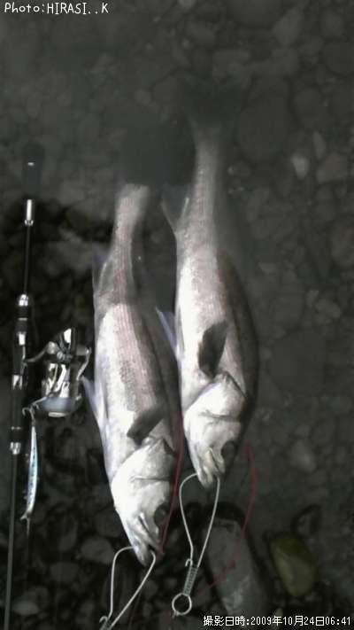 �����Х�