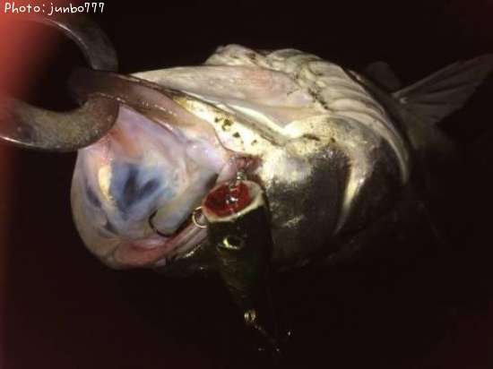 �����Х�