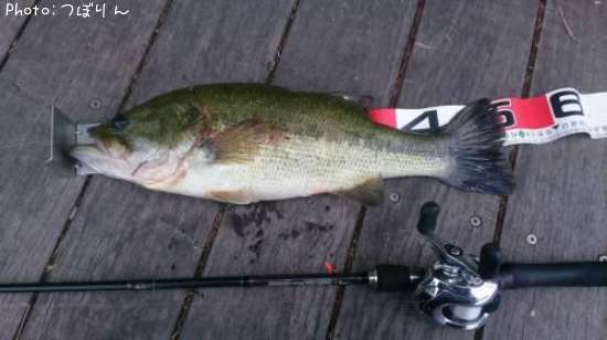 �֥�å��Х�