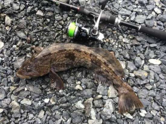 �����ʥ�