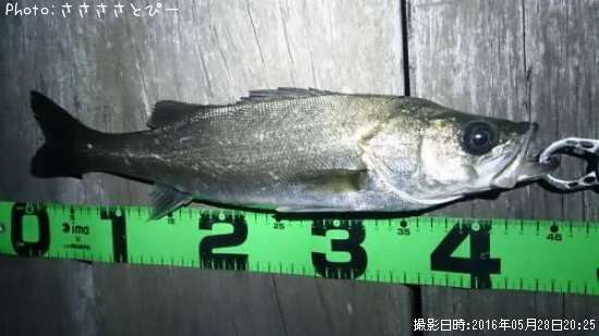 �����Х�����Х�