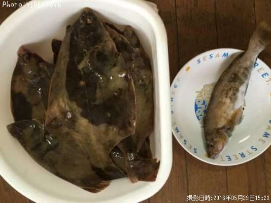 �ޥ����쥤�������ʥ�