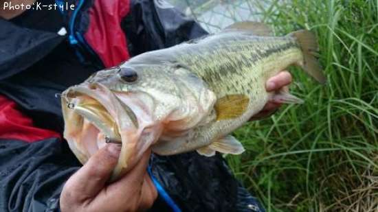 �֥�å��Х�