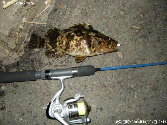 �����Υ���Х�