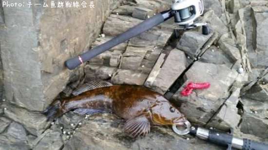 �����ʥ�