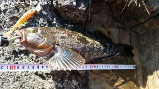 �����ʥ�