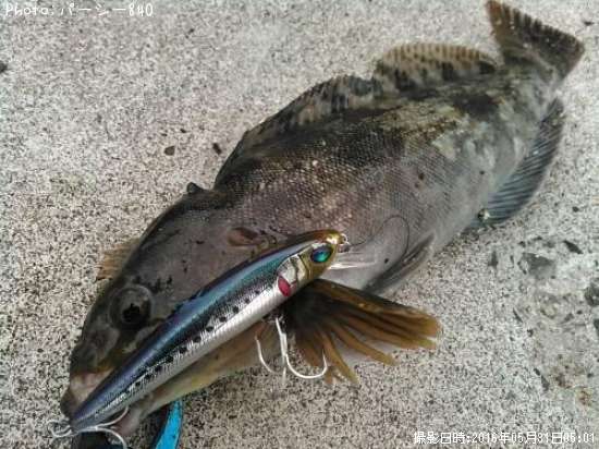 �����ʥ�