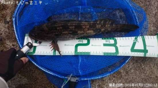 �����ʥ�