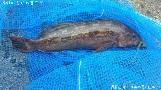 �����ʥ�