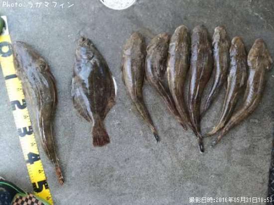 �ޥ���������