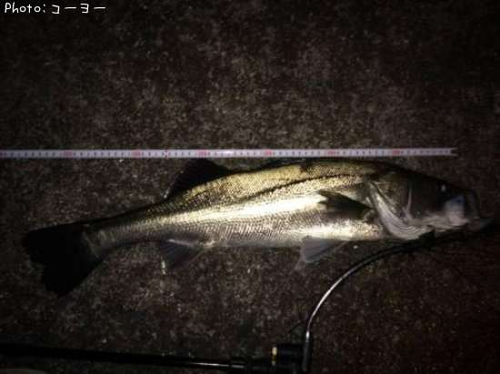 �����Х�