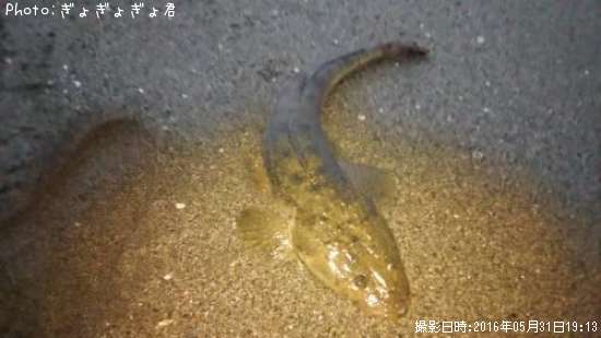 �ޥ���