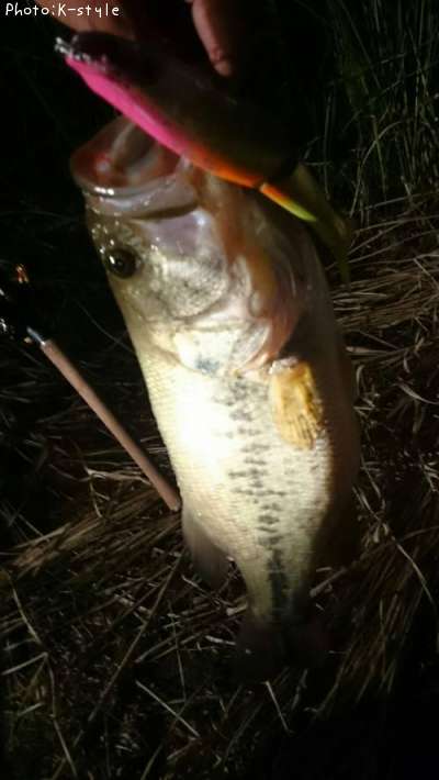 �֥�å��Х�