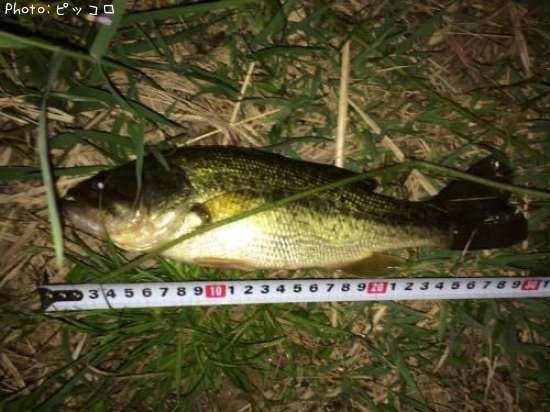 �֥�å��Х�