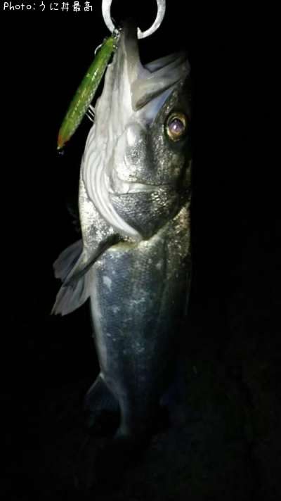 �����Х�