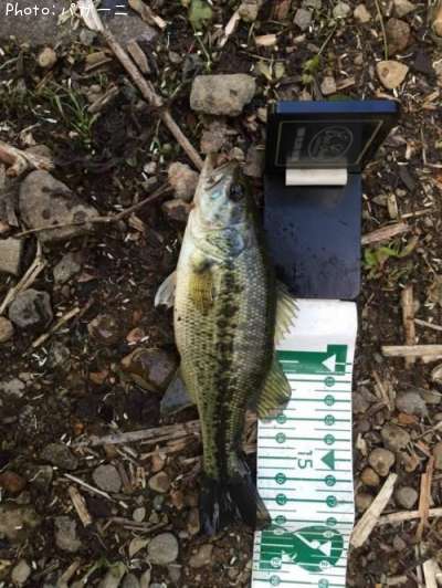 �֥�å��Х�