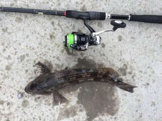 �����ʥ�